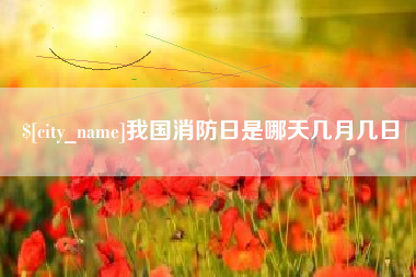 海北我国消防日是哪天几月几日