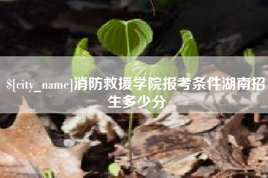 海北消防救援学院报考条件湖南招生多少分