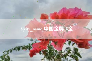 海北中国金牌18金
