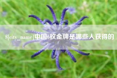 海北中国6枚金牌是哪些人获得的
