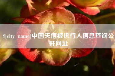 海北中国失信被执行人信息查询公开网址