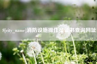 海北消防设施操作员证书查询网址