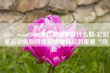 海北5000米世界冠军穿什么鞋-它们是运动员取得优异成绩背后的重要“功臣”