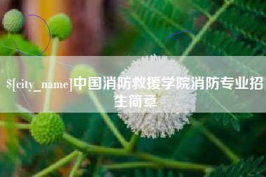 海北中国消防救援学院消防专业招生简章