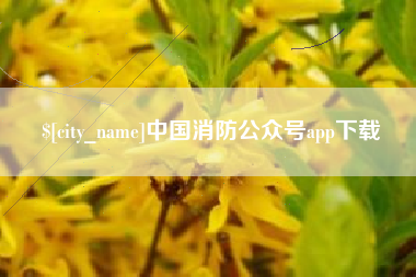 海北中国消防公众号app下载