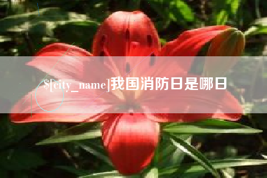 海北我国消防日是哪日