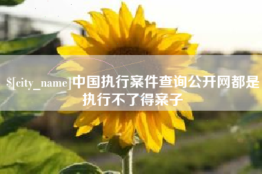 海北中国执行案件查询公开网都是执行不了得案子