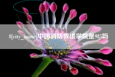 海北中国消防救援学院是985吗