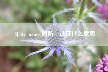 海北消防ccc认证什么意思