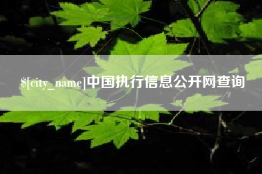 海北中国执行信息公开网查询
