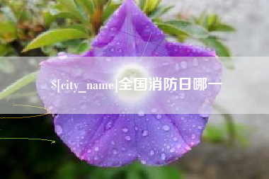 海北全国消防日哪一