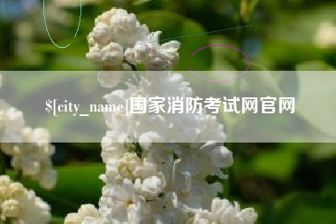 海北国家消防考试网官网