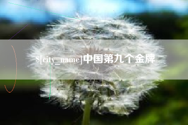 海北中国第九个金牌