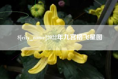 海北2022年九宫格飞星图