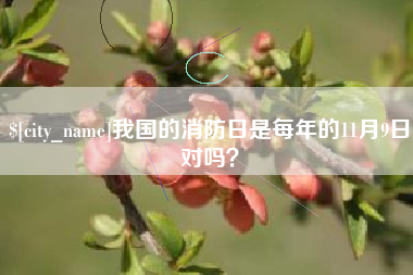海北我国的消防日是每年的11月9日对吗？