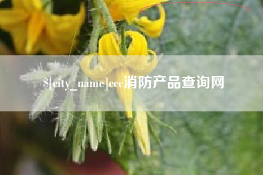 海北ccc消防产品查询网