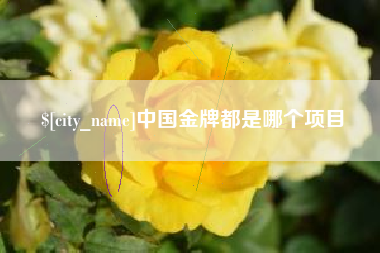 海北中国金牌都是哪个项目