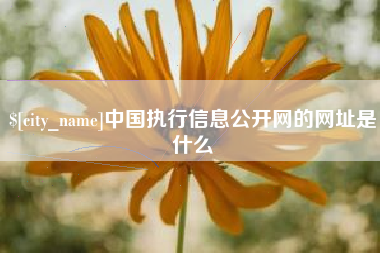 海北中国执行信息公开网的网址是什么