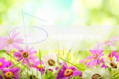 海北中国消防网1190119