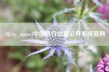 海北中国执行信息公开系统官网