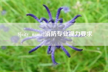 海北消防专业视力要求