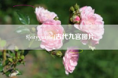 海北古代九宫图片