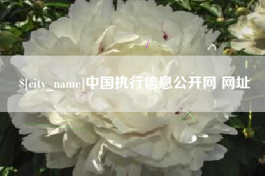 海北中国执行信息公开网 网址