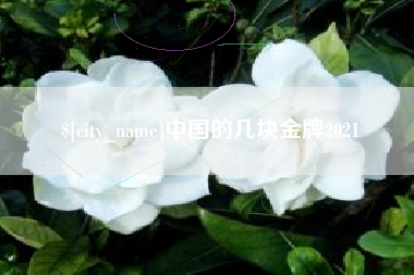 海北中国的几块金牌2021