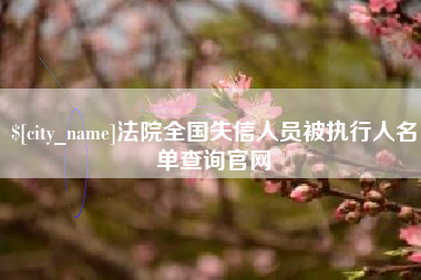 海北法院全国失信人员被执行人名单查询官网