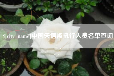 海北中国失信被执行人员名单查询
