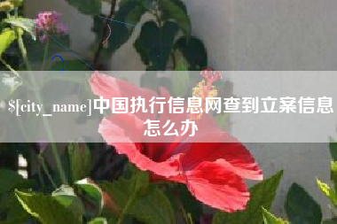 海北中国执行信息网查到立案信息怎么办