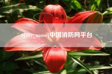 海北中国消防网平台