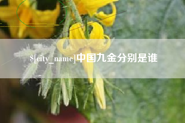 海北中国九金分别是谁