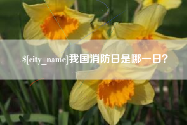 海北我国消防日是哪一日？