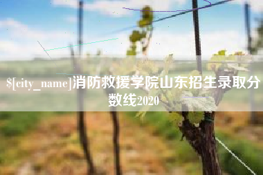 海北消防救援学院山东招生录取分数线2020