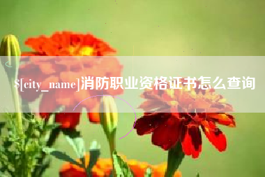 海北消防职业资格证书怎么查询