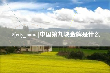 海北中国第九块金牌是什么