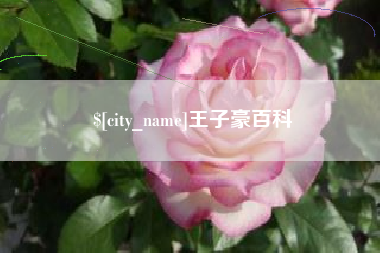 海北王子豪百科