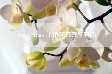 海北119消防日哪年开始