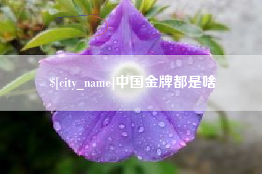 海北中国金牌都是啥