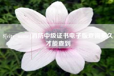 海北消防中级证书电子版查询多久才能查到