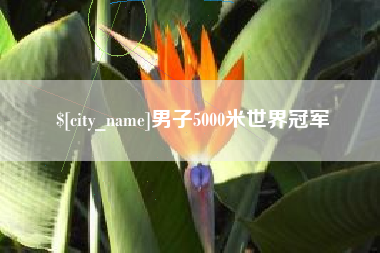 海北男子5000米世界冠军