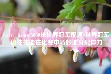海北5000米世界冠军配速-世界冠军们往往能在比赛中巧妙地分配体力