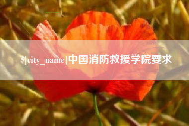 海北中国消防救援学院要求