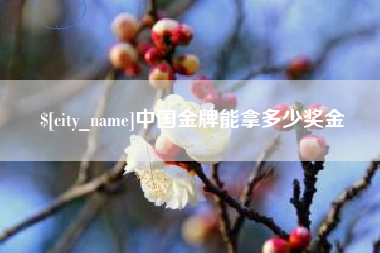 海北中国金牌能拿多少奖金