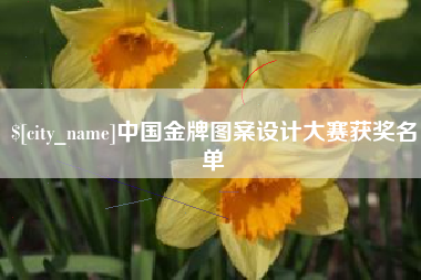 海北中国金牌图案设计大赛获奖名单