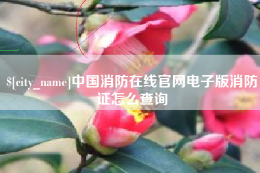 海北中国消防在线官网电子版消防证怎么查询
