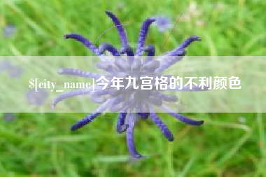 海北今年九宫格的不利颜色