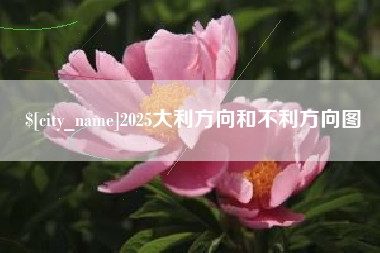 海北2025大利方向和不利方向图