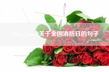 海北关于全国消防日的句子